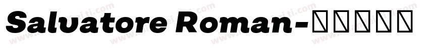 Salvatore Roman字体转换